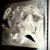 MirrorStone designmore more marketing